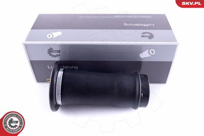 Pneimoatspere, Balstiekārta ESEN SKV 58SKV039