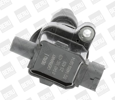 Катушка зажигания BorgWarner (BERU) ZS429