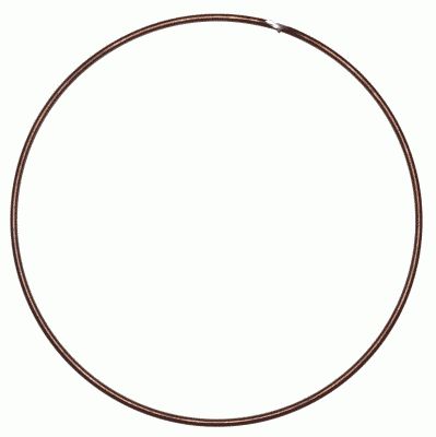 Stiepļu gredzens, Sajūga disks SACHS 3018 085 000