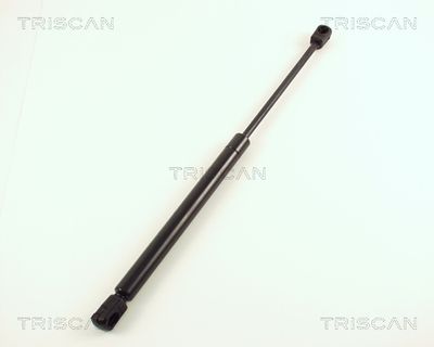 Gāzes atspere, Bagāžas/Kravas nodalījuma vāks TRISCAN 871029224