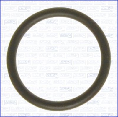 Blīve, Termostata korpuss AJUSA 16505500