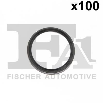 Уплотнительное кольцо FA1 076.684.100