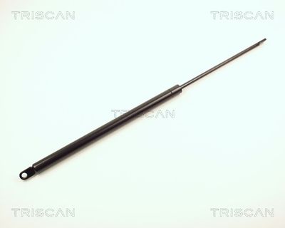Gāzes atspere, Bagāžas/Kravas nodalījuma vāks TRISCAN 87102906