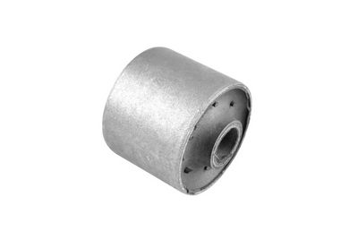 Piekare, Šķērssvira TEDGUM 00243254