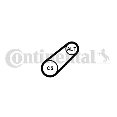 Поликлиновой ремень CONTINENTAL CTAM 6PK799 ELAST