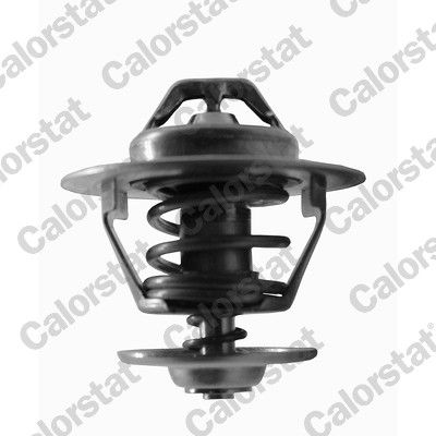 Termostats, Dzesēšanas šķidrums CALORSTAT by Vernet TH6434.82J