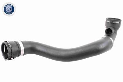 Radiatora cauruļvads VAICO V20-0869