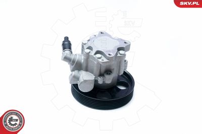 Hidrosūknis, Stūres iekārta ESEN SKV 10SKV073