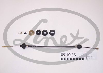 Trose, Sajūga pievads LINEX 09.10.16