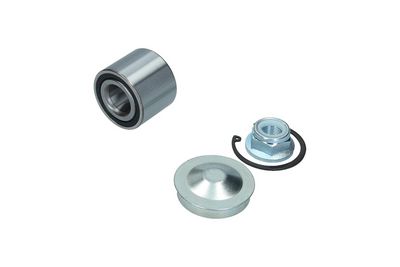 Комплект подшипника ступицы колеса KAMOKA 5600099