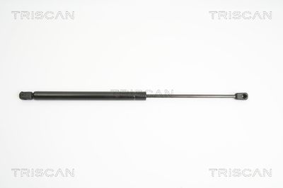 Gāzes atspere, Bagāžas/Kravas nodalījuma vāks TRISCAN 8710 24230