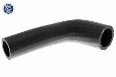 Radiatora cauruļvads VAICO V10-2804