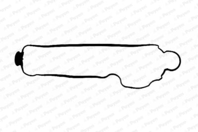 Blīve, Motora bloka galvas vāks PAYEN JM5094