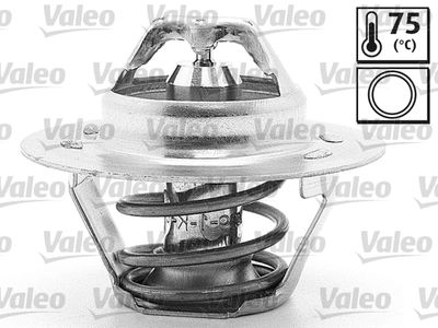 Termostats, Dzesēšanas šķidrums VALEO 819859