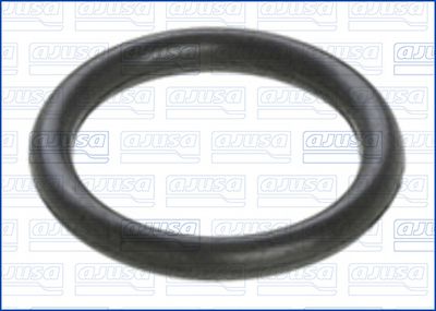 Blīve, Eļļas radiators AJUSA 16543500