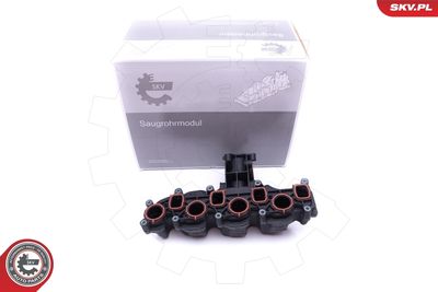 Модуль впускной трубы ESEN SKV 49SKV008