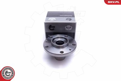 Комплект подшипника ступицы колеса ESEN SKV 29SKV451