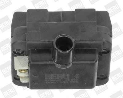 Катушка зажигания BorgWarner (BERU) ZS276