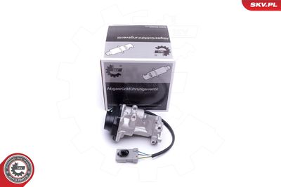 Клапан возврата ОГ ESEN SKV 14SKV216