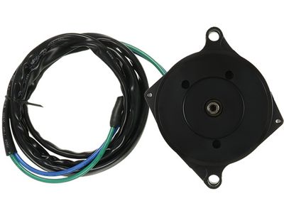 Elektromotors AS-PL DC9136S