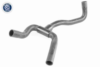 Шланг, вентиляция картера VAICO V251242