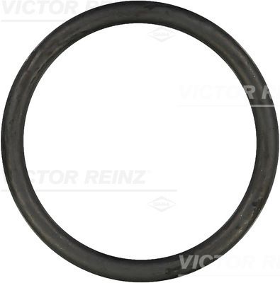 Blīvgredzens VICTOR REINZ 40-76128-00