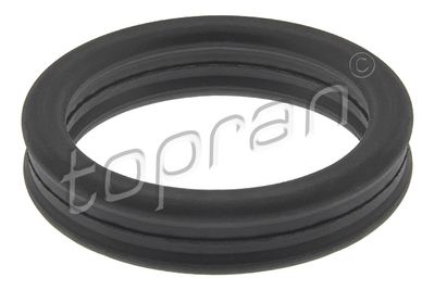 Blīve, Dzesēšanas sķidruma cauruļvads TOPRAN 119 260