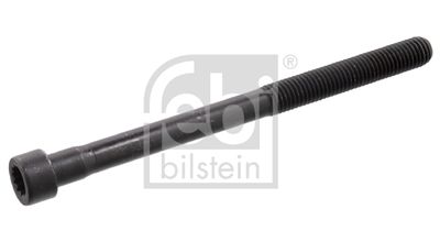 Болт головки цилиндра FEBI BILSTEIN 10179
