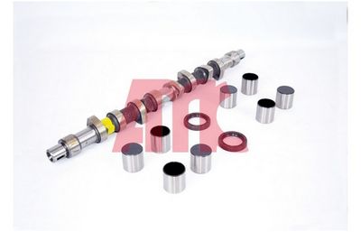 Sadales vārpstas komplekts AMC 652881K