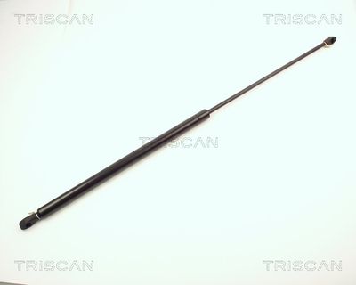 Gāzes atspere, Bagāžas/Kravas nodalījuma vāks TRISCAN 87102004