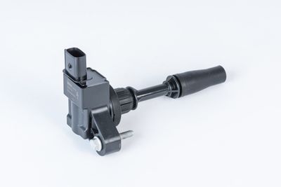 Катушка зажигания BorgWarner (BERU) ZSE234
