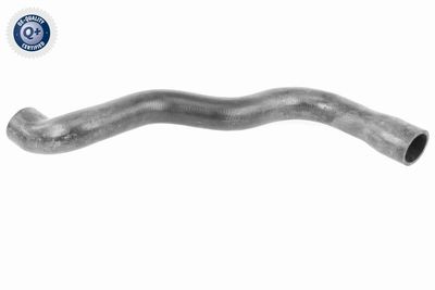 Шланг радиатора VAICO V30-2915