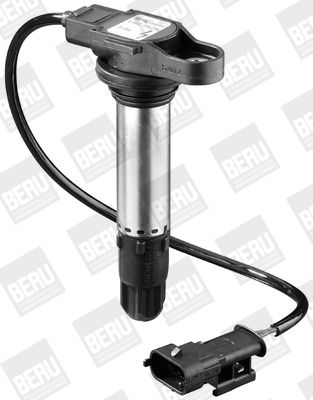 Aizdedzes spole BorgWarner (BERU) ZS054