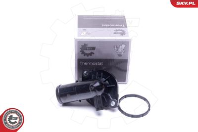 Termostats, Dzesēšanas šķidrums ESEN SKV 20SKV165