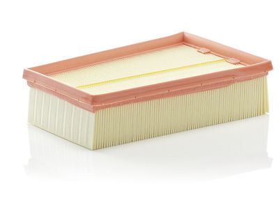 Воздушный фильтр MANN-FILTER C 2433/2