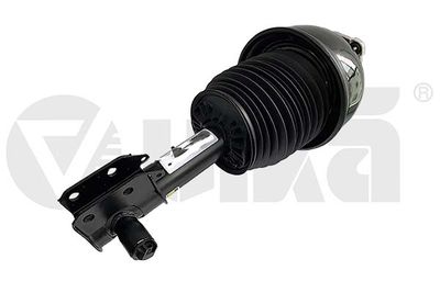 Pneimoatsperes statnis vika 49815401