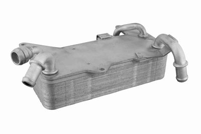 Eļļas radiators, Automātiskā pārnesumkārba VEMO V10-60-0044