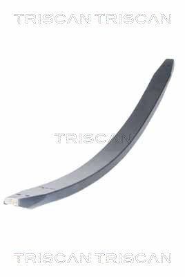 Lāgu atsperes lokšņu komplekts TRISCAN 876 523 037