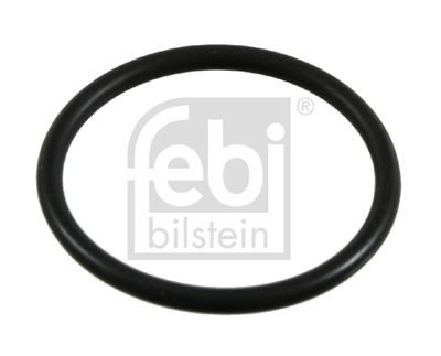 Blīve, Kartera ventilācija FEBI BILSTEIN 21065
