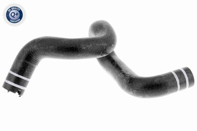 Шланг радиатора VAICO V24-0806