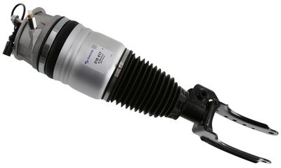 Pneimoatsperes statnis SACHS 319 417