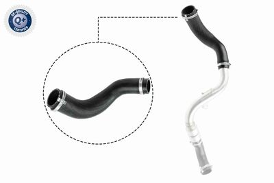 Pūtes sistēmas gaisa caurule VAICO V25-1024