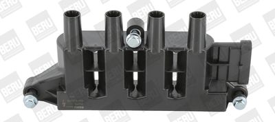 Катушка зажигания BorgWarner (BERU) ZS079