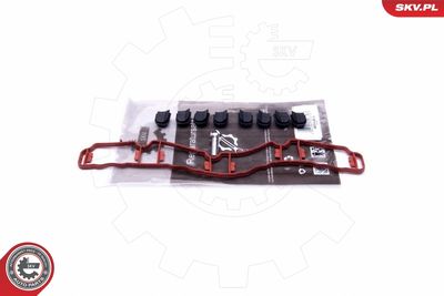 Ремкомплект, модуль впускного коллектора ESEN SKV 49SKV514