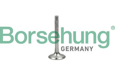 Выпускной клапан BORSEHUNG B18997