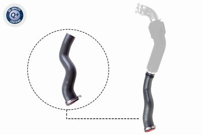 Pūtes sistēmas gaisa caurule VAICO V46-1032