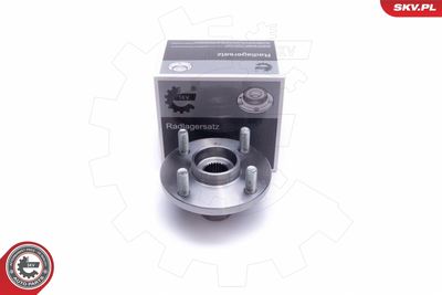 Комплект подшипника ступицы колеса ESEN SKV 29SKV531
