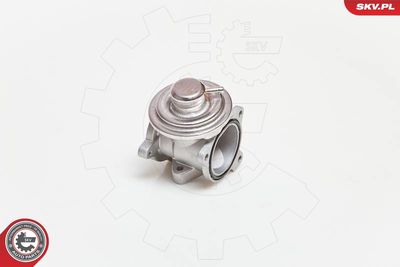 Клапан возврата ОГ ESEN SKV 14SKV034