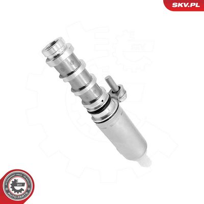 Регулирующий клапан, выставление распределительного вала ESEN SKV 39SKV095