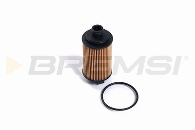 Eļļas filtrs BREMSI FL2873